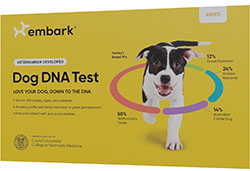 Comment fonctionne le test ADN chez les chiens ? - Omlet Blog France