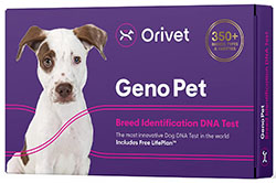 Histoire, race, maladie… Le test ADN pour chien, la nouvelle coqueluche des  États-Unis