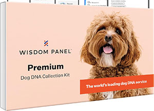 wisdom-panel-avis-test-adn-chien-premium
