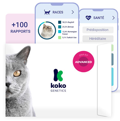koko-genetics-test-adn-chat-advanced