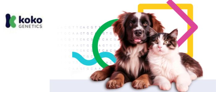 koko-genetics-ervaringen-hond-en-kat