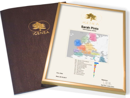igenea-recenze-genetické-výsledky