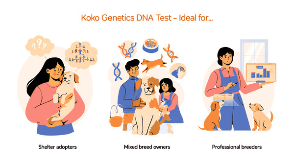 koko-genetics-användarprofiler