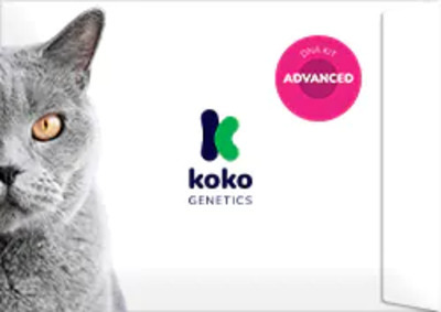 koko-genetics-kit-dna-avancerat-katt