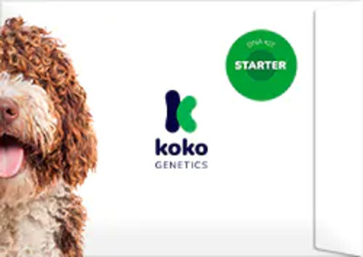 koko-genetics-kit-dna-för-nybörjare
