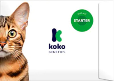 koko-genetics-kit-dna-startpaket-katt