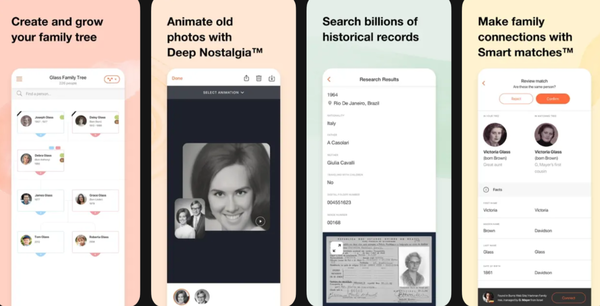 myheritage-dna-applikation