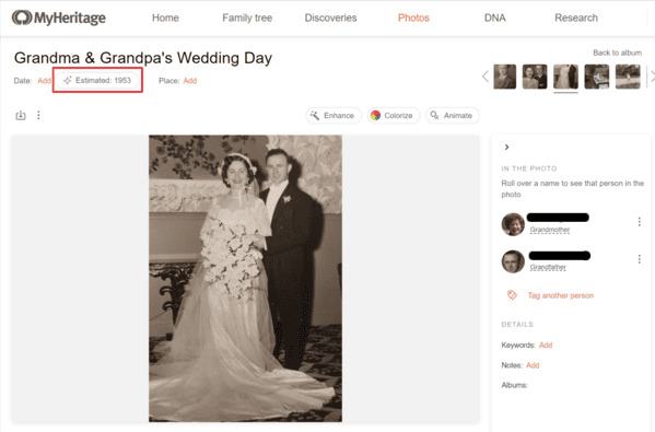photodater-myheritage-dna-recension