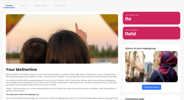 recension-av-living-dna-maternell-haplogrupp