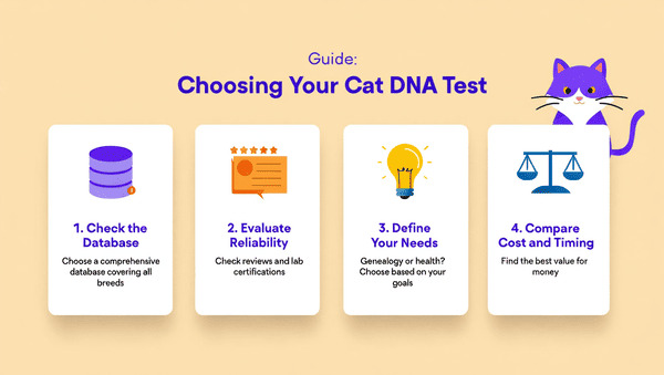välj-katt-dna-test