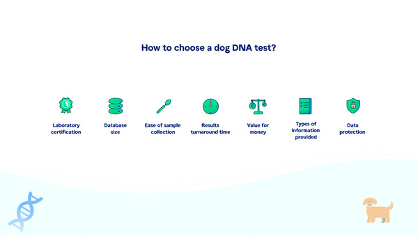 vyberte-test-DNA-pro-psy