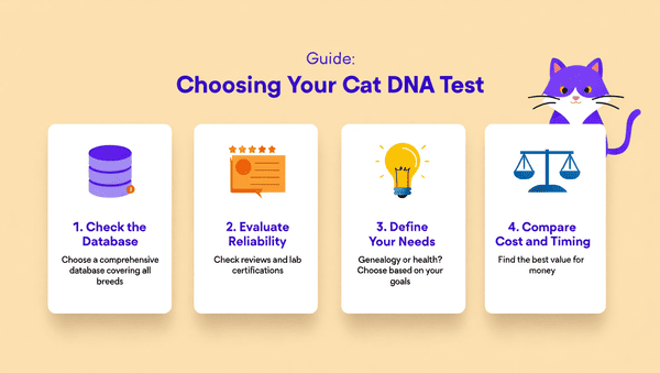 vyberte-test-kočičí-dna