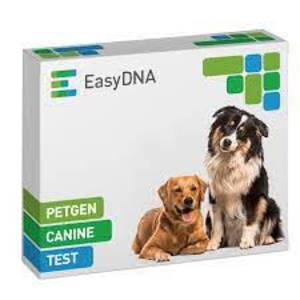 easydna-cel-mai-bun-test-adn-pentru-câini