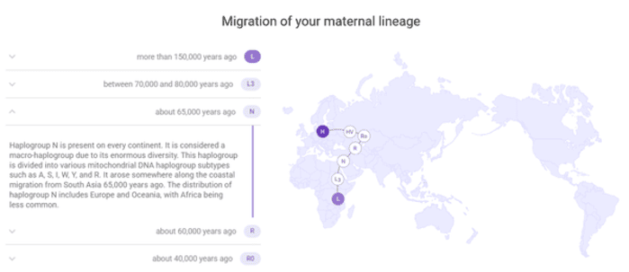izvješće-o-migraciji-tellmegen-linije-po-majčinoj-lozi