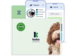 kokogenetics-cel-mai-bun-test-adn-pentru-câini