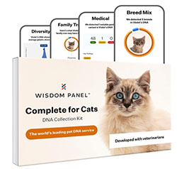 wisdom-panel-tes-dna-obrolan
