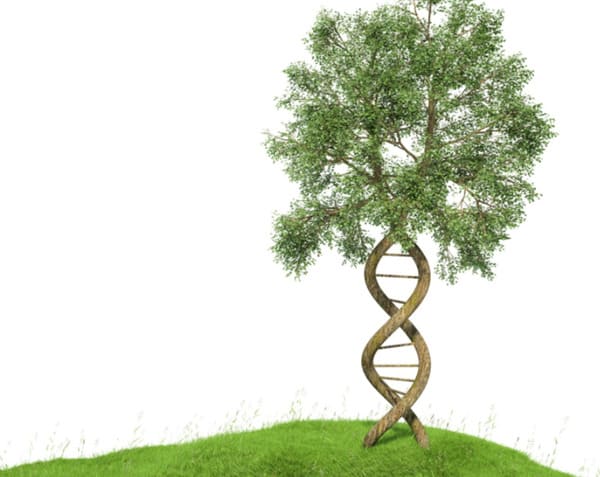 affinity-dna-review-dna-tests-ancestry